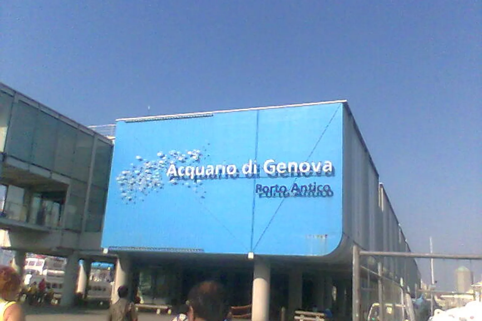 Biglietti Acquario di Genova: acquisto online o in cassa?