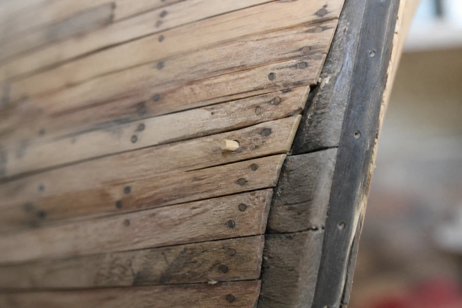 Chiodatura del fasciame: spine di legno o simulazione grafica?