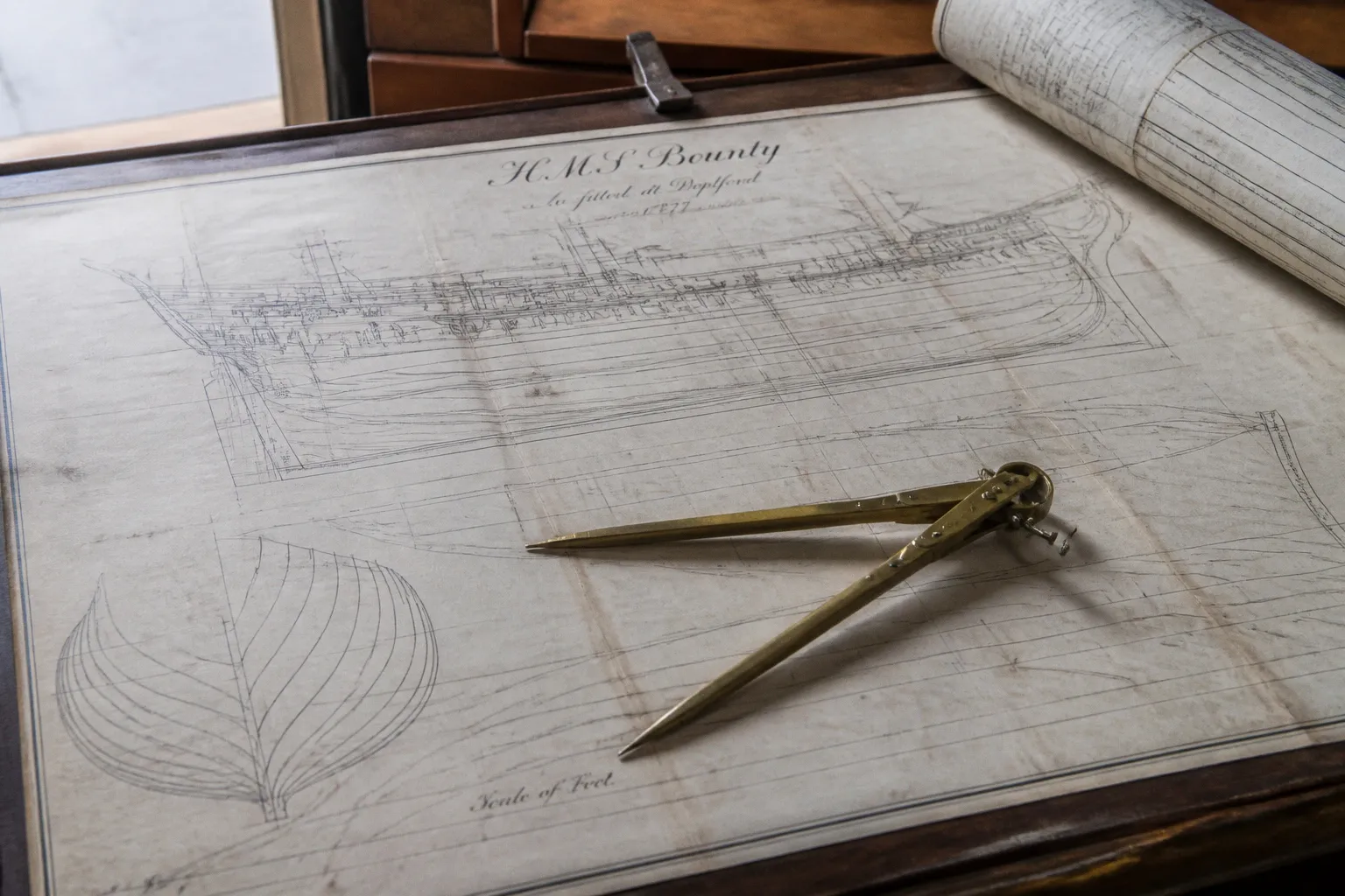 I piani della HMS Bounty: l'errore della grande cabina
