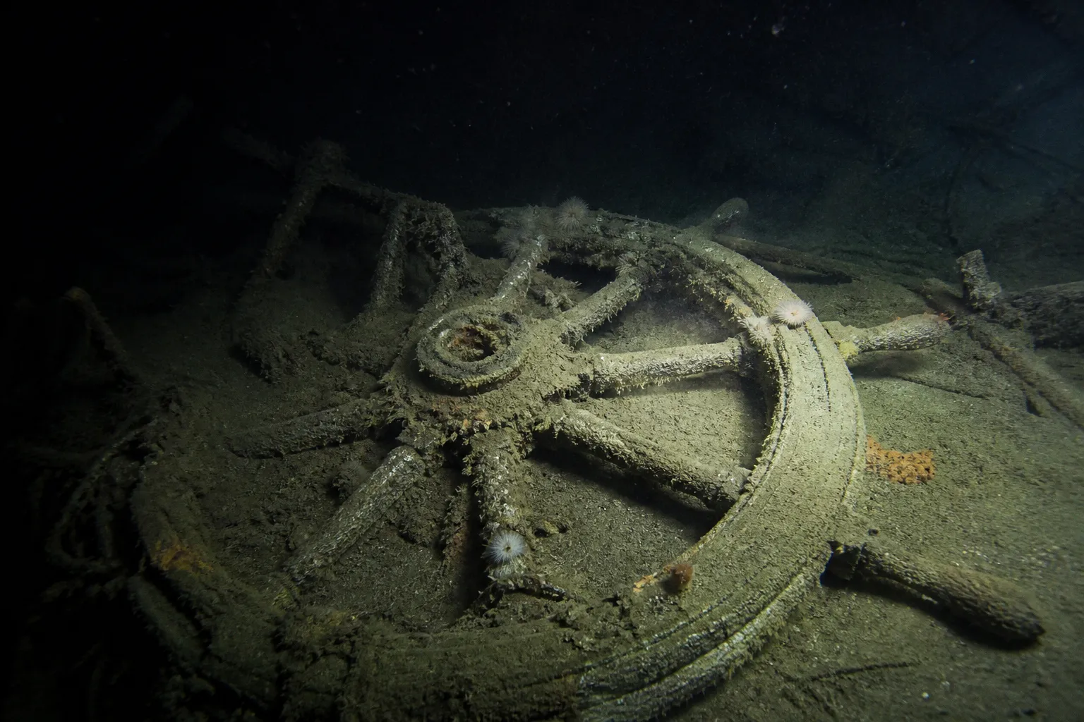 Relitto della HMS Terror: cosa rivelano gli ultimi scavi