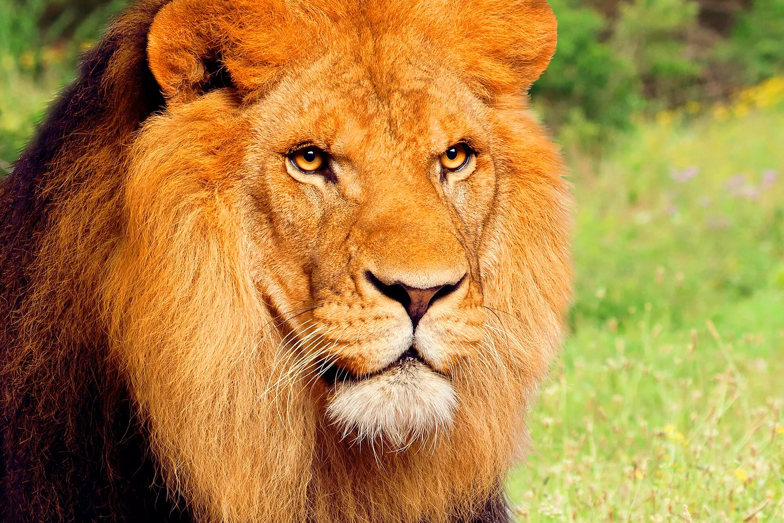 Terra Natura Murcia: guida all'acquisto dei biglietti