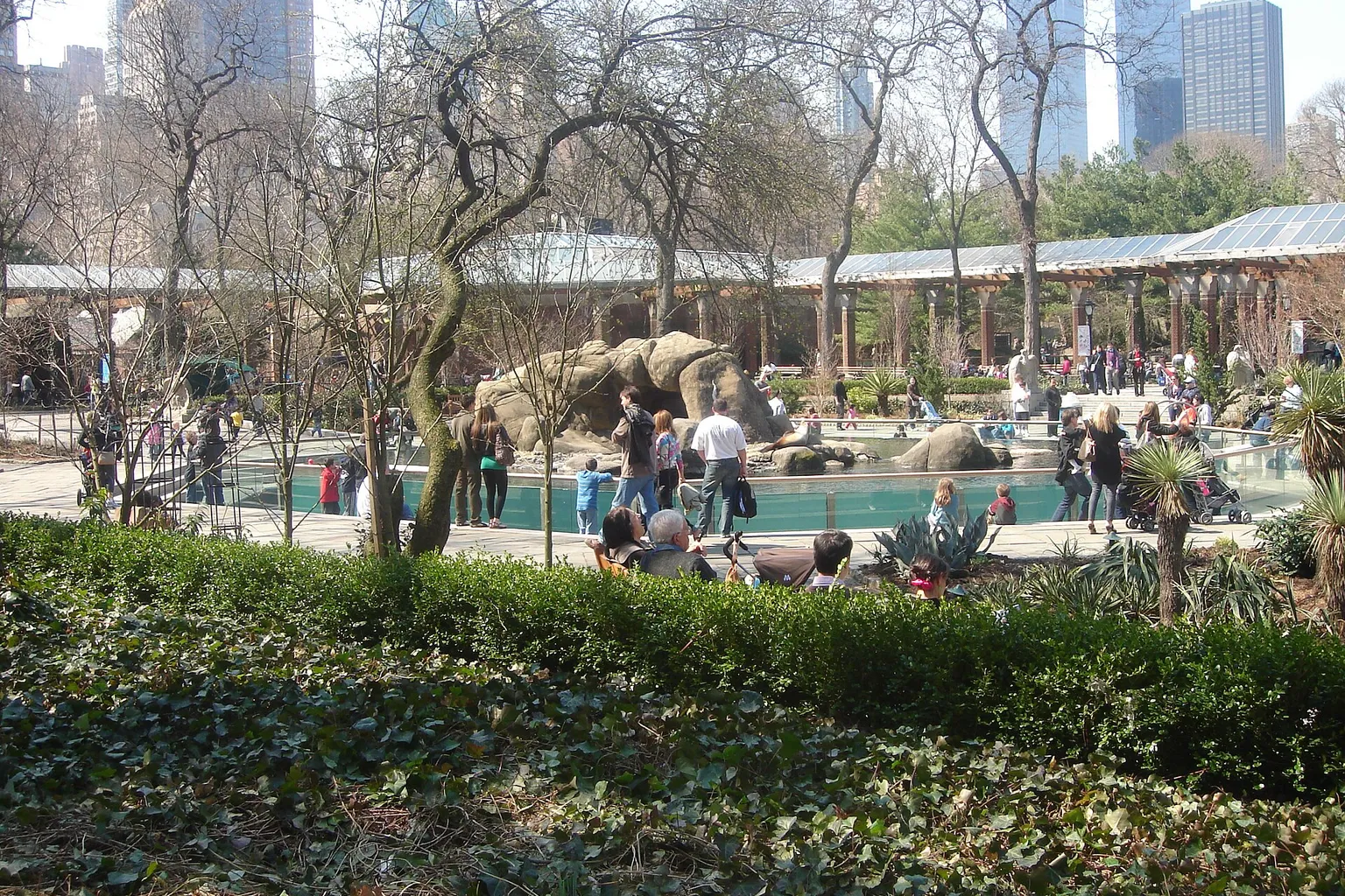 Zoo di Central Park: guida ai biglietti per modellisti